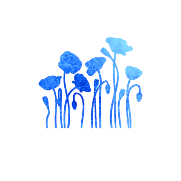 罂粟种植者